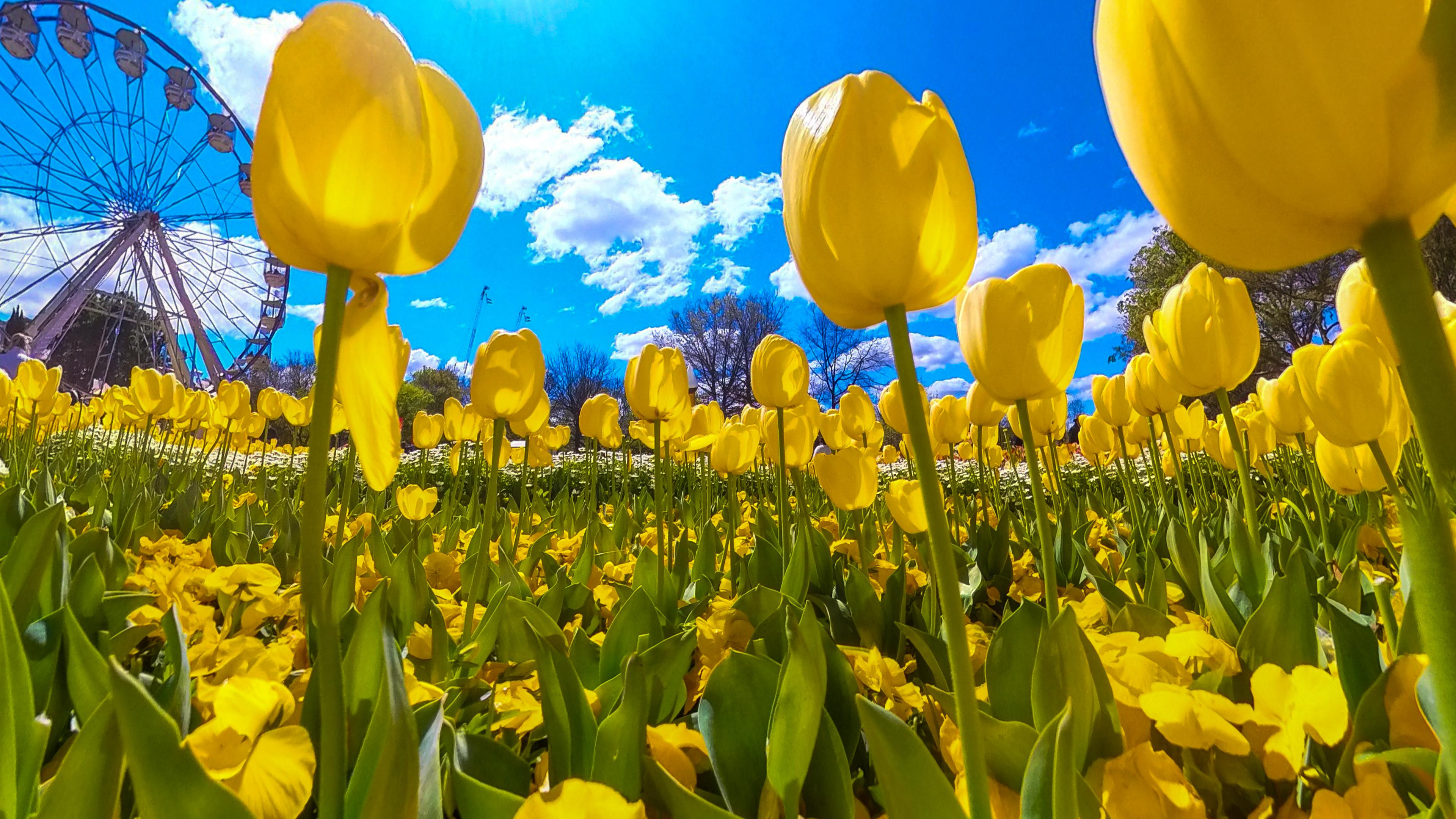 Floriade Canberra